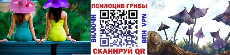 Купить где  Таганрог  Галлюциногенные грибы прущие грибы 